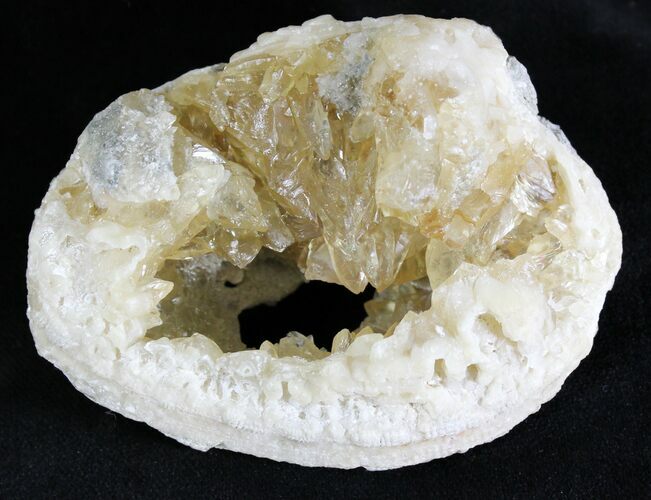 Calcite Crystal Filled Fossil Clam - Fluoresces Under UV #28610